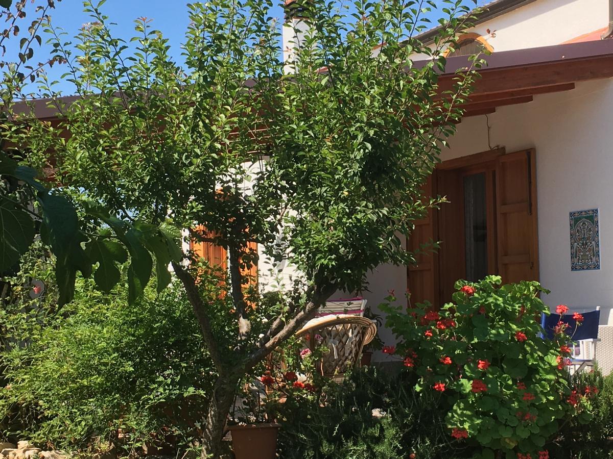 Uliveto House Bed & Breakfast Castellammare del Golfo Ngoại thất bức ảnh